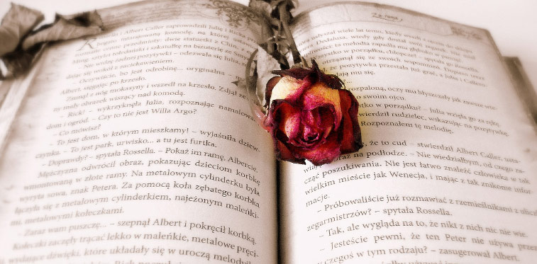 libro con rosa